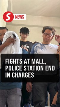 Singaporean artist, family of three charged over Johor mall brawl