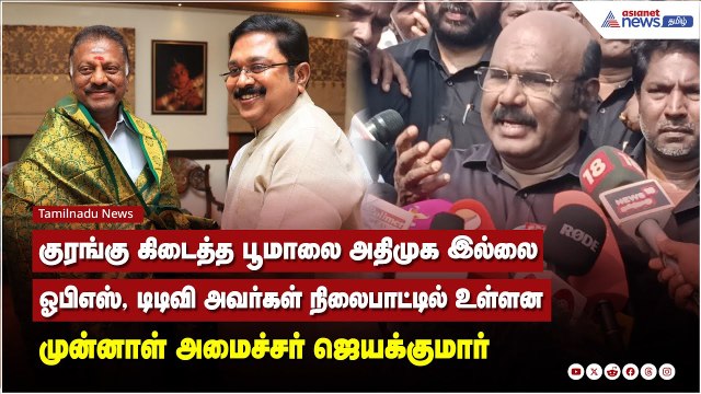 குரங்கு கிடைத்த பூமாலை அதிமுக இல்லை, விமர்சனங்கள் கடுமையாக உள்ளபோது நான் விமர்சிப்பேன் - ஜெயக்குமார்