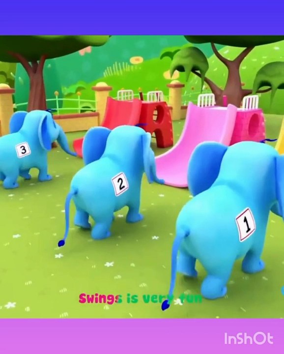 animals video
