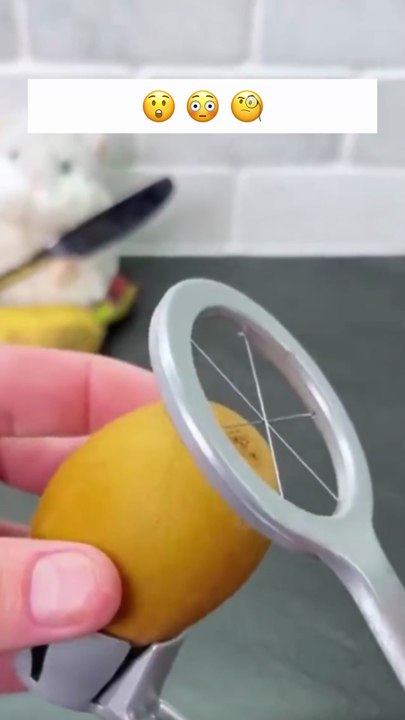 C'est incroyable 🤣😂😘 #humour #drole #kiwi