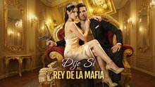 Finalizado Dije Sí Al Rey De La Mafia Episodio Completo🎥 Filmscope