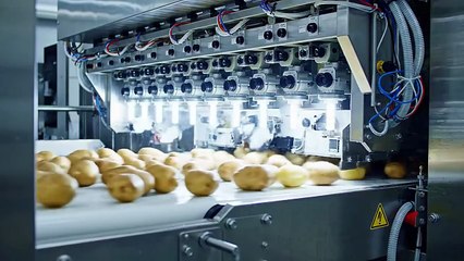 Inside a Modern Pringles Factory, From Whole Potatoes to Stacked Potato Chips ,Full Process
