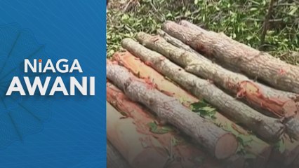 Eksport perabot Malaysia ke AS meningkat kepada RM5.7 bilion