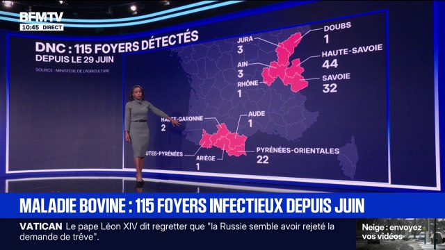 Un nouveau foyer de dermatose nodulaire contagieuse détecté en Occitanie