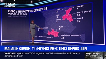 Un nouveau foyer de dermatose nodulaire contagieuse détecté en Occitanie