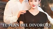 El plan del divorcio historia de tres mujeres