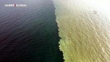 Samsun'da yağış sonrası ilginç manzara: Deniz ikiye bölündü