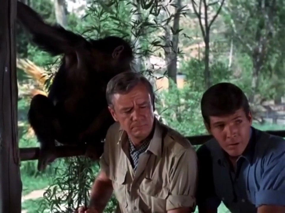 Daktari 1x18-Judy y los contrabandistas de armas-HD