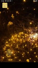 Rented A Billionaire Husband For Christmas Full Ep High Quality Video