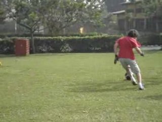 tapada de francisco 4