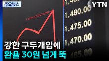 '강한 구두개입'에 환율 30원 넘게 뚝...효과 지속될까? / YTN
