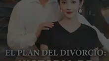 El Plan Del Divorcio Historia De Tres Mujeres