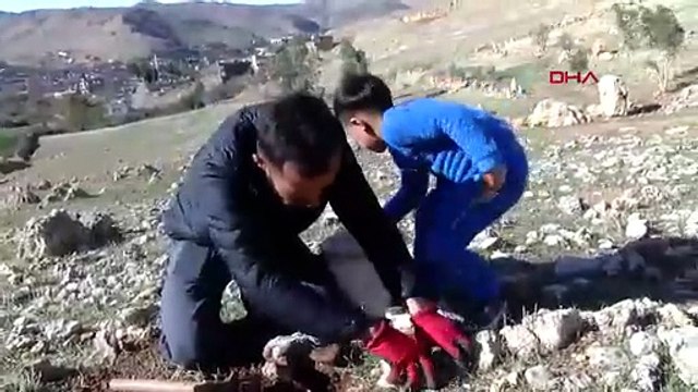 O Türkiye'nin orman adamı: 29 yaşında sadece 2 yılda binlerce tohum ve fidanı toprakla buluşturdu!