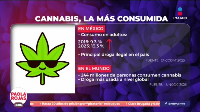 México registra nuevas dinámicas en consumo de sustancias | DPC con Paola Rojas