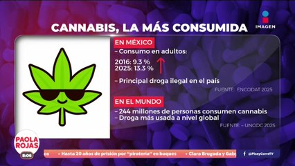 México registra nuevas dinámicas en consumo de sustancias | DPC con Paola Rojas