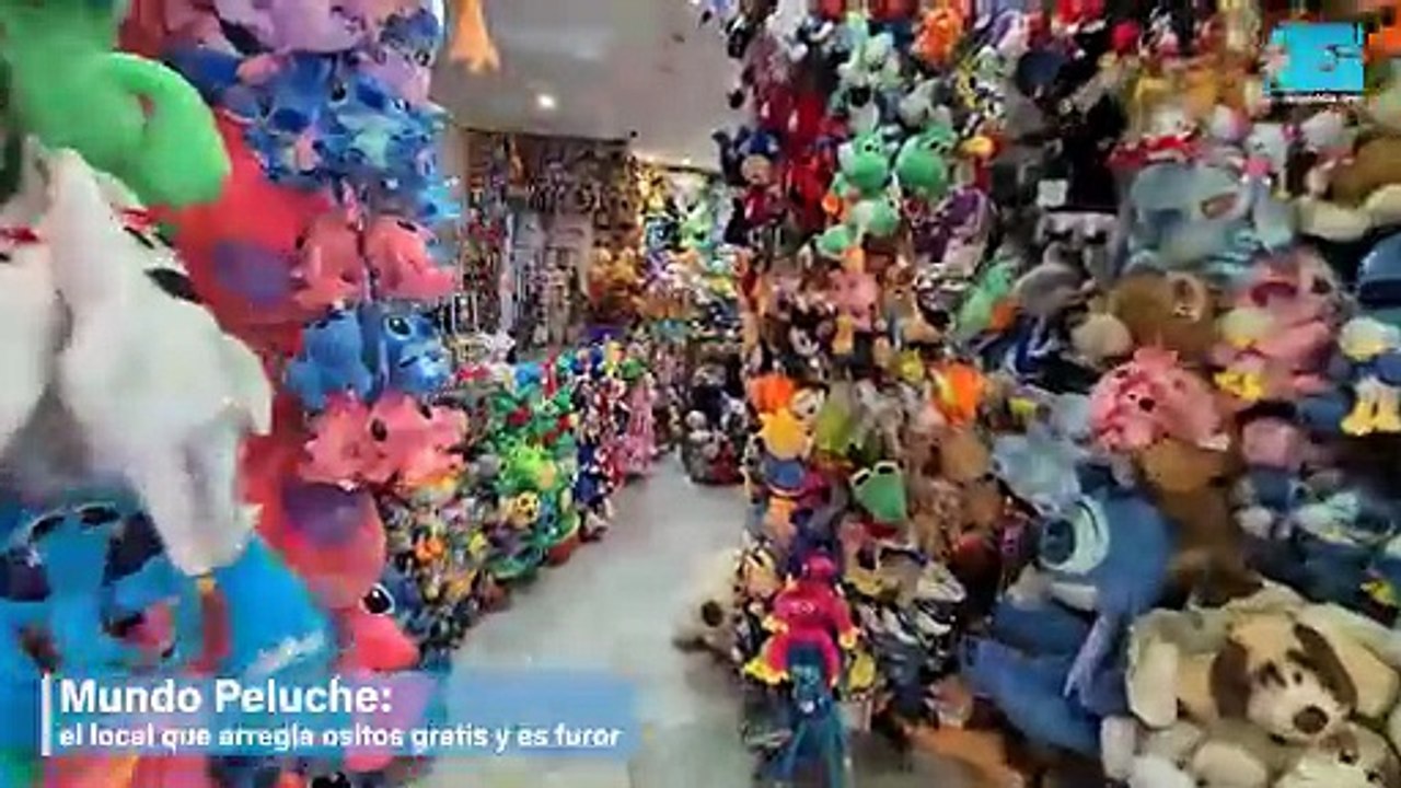 Mundo Peluche: el local que arregla ositos gratis y es furor