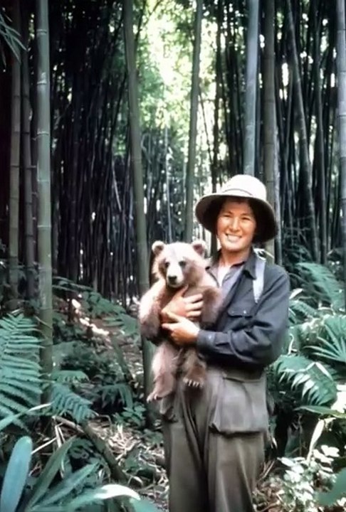 The Hidden History of Giant Pandas: From 1869 Discovery to Global Icon