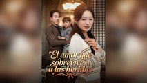 El Amor Que Sobrevive A Las Heridas Doblabo Episodio Completo