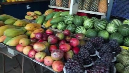 Gestão de Calorias durante as Festas de Final de Ano: Dicas Nutricionais e Benefícios das Frutas para uma Ceia Balanceada
