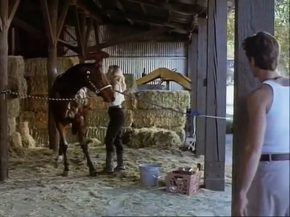 Der Rächer _ Rache am Mafiaboss für den Mord an seiner Familie _ Ganzer Film auf