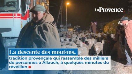 10 000 spectateurs pour la tradition provençale de la descente des bergers à Allauch