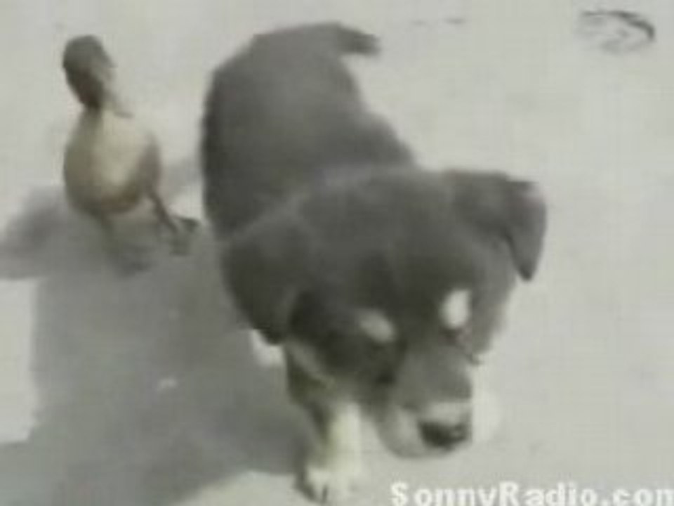 Love story