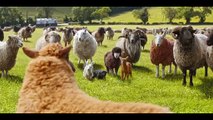 The Sheep Detectives | movie | 2026 | Official Trailer