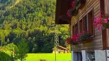 VID-2025121Beautiful house 🏡🏡🏠