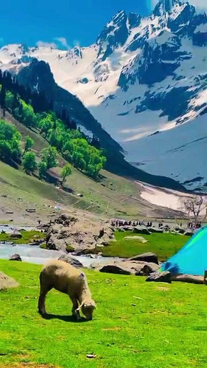 VID-20251Mountain fresh skyblue