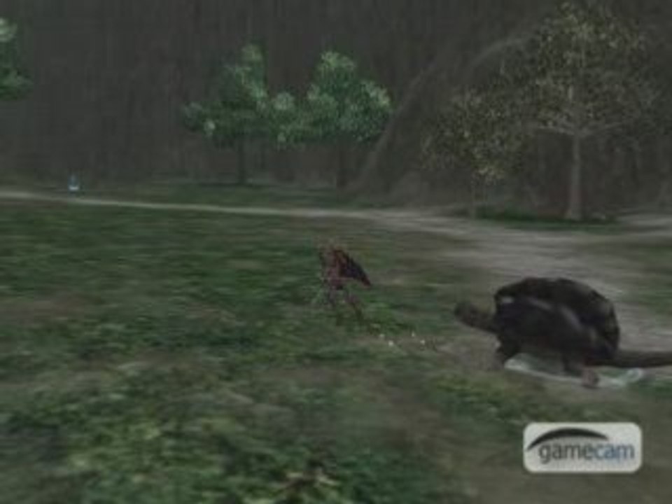 Video_4
