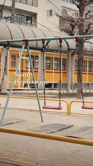 Be My Heart Be Your Eye Shortical Mini