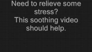 Stress relief video