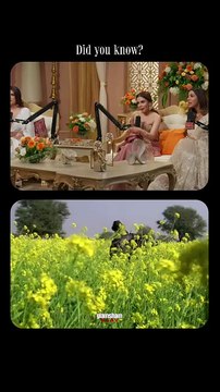 Did you know how iconic Shah Rukh Khan's Harley Davidson Jacket was?! 🤯 #glamsham #shahrukhkhan #harleydavidson #jacket #funfact {glamsham, shah rukh khan, harley davidson, jacket, fun fact}