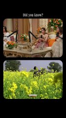 Did you know how iconic Shah Rukh Khan's Harley Davidson Jacket was?! 🤯   #glamsham #shahrukhkhan #harleydavidson #jacket #funfact  {glamsham, shah rukh khan, harley davidson, jacket, fun fact}