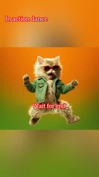 wait ....end dance 😸"Fluffy Cat in Santa Hat Dropping the Hottest Dance of 2025 🎅🐈‍⬛""Epic Cat Fail Turned Viral Dance 😂 Rock That Body Trend!"