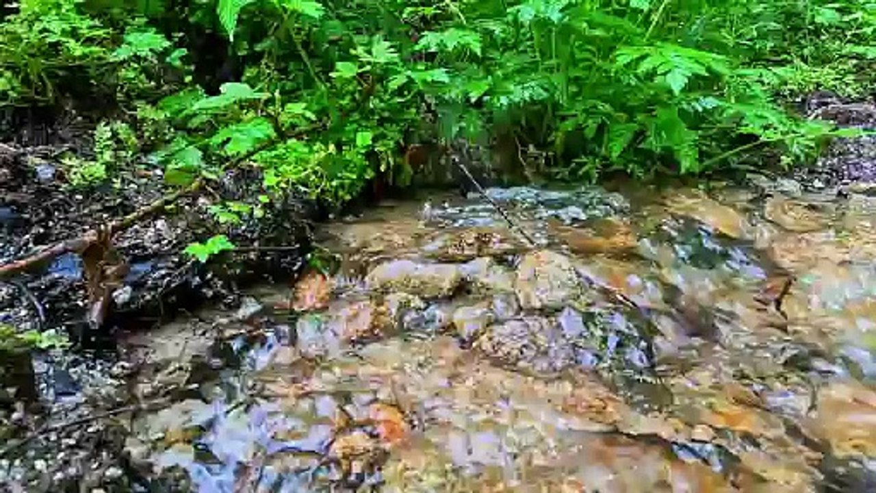 "Bien-être" - Eau différente source - Relaxation - Détente