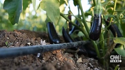 Kasım kurak geçti: Yağışlar alarm veriyor, tarım risk altında