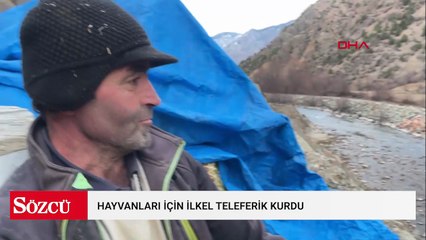 Hayvanları için ilkel teleferik sistemi kurdu