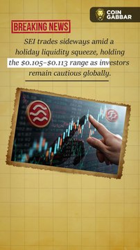 📊 SEI Holds Range as Market Stabilizes