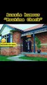 Aussie humour #funny #shorts #shortsfeed #funnyshorts