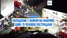 Нападение с ножом на фабрике шин в Японии: 15 человек пострадали, мужчина в противогазе также облил людей химической жидкостью