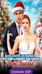 Encontré Un Marido Multimillonario Sin Hogar Para Navidad Serie Completa