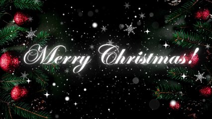 Merry Christmas from The Palau Digital Residency Office and RNS.ID