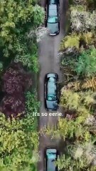 Reborn to Seize the Bouquet Drama Movies English Sub