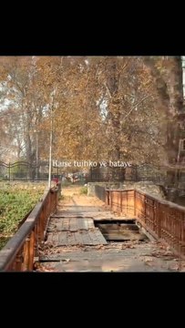 Distance hurts | When Loneliness Hits Different | Hindi Emotional