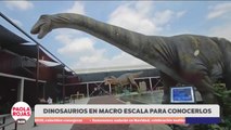 Dinosaurios cobran vida en una experiencia inmersiva | DPC con Paola Rojas