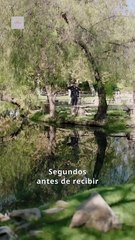 Francotirador Americano: El Último Disparo 🌻 Película Completa en Español HD 2025