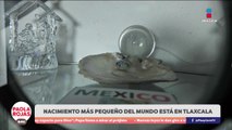 Tlaxcala presume el nacimiento más pequeño del mundo | DPC con Paola Rojas