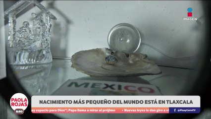 Tlaxcala presume el nacimiento más pequeño del mundo | DPC con Paola Rojas