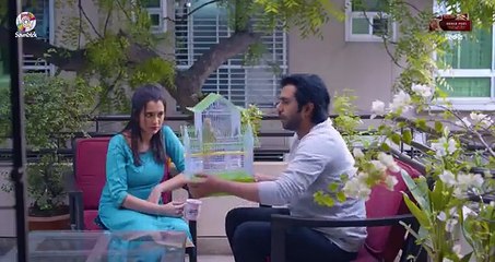 Romantic Natok -তোমার হাতটি ধরে- Apurba ,Sabila Nur